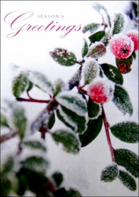 Red Berry Christmas Cards - Pack of 5